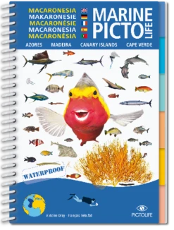 LIVRE PICTOLIFE MACARONESIE Immergeable