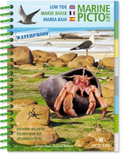 LIVRE PICTOLIFE MAREE BASSE ATLANTIQUE EST Immergeable