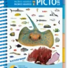 LIVRE PICTOLIFE PACIFIQUE ASIATIQUE Immergeable 2 LIVRE PICTOLIFE PACIFIQUE ASIATIQUE Immergeable -Plongée Sportive Boutique LIVRE PICTOLIFE PACIFIQUE ASIATIQUE immergeable 979 10 9