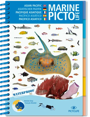 LIVRE PICTOLIFE PACIFIQUE ASIATIQUE Immergeable 3 LIVRE PICTOLIFE PACIFIQUE ASIATIQUE Immergeable